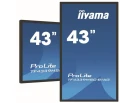 IIYAMA Monitor wielkoformatowy 43 cale TF4339MSC-B1AG,AMVA,HDMIx2,DP,RJ45,IP54,24/7,POJ.12p