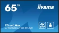 IIYAMA Monitor wielkoformatowy 64.5 cala LH6560UHS-B1AG matowy 24h/7 500(cd/m2) VA 3840 x 2160 UHD(4K) Android.11 Wifi CMS(iiSignage2)