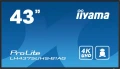 IIYAMA Monitor 42.5 cala ProLite LH4375UHS-B1AG, 24/7,IPS,ANDROID.11,4K,500cd/m2,WiFi,3xHDMI,DP,Daisy/Chain,2xUSB,2x10W,RJ45,iiSignage2,FailOver,SDM,4