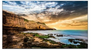 Samsung Monitor profesjonalny  QE55T 55 cali Błyszczący 16h/7 300(cd/m2) 3840x2160 (UHD) Lite Player (only)  3 lata d2d (LH55QETELGCXEN)